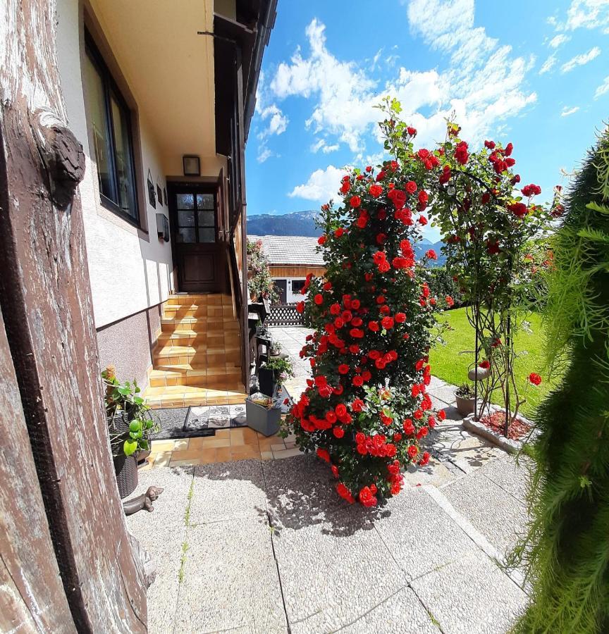 Appartment Luki Haus im Ennstal Εξωτερικό φωτογραφία
