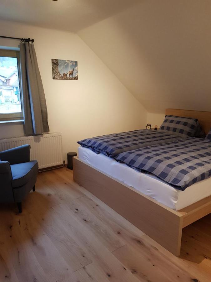 Appartment Luki Haus im Ennstal Εξωτερικό φωτογραφία
